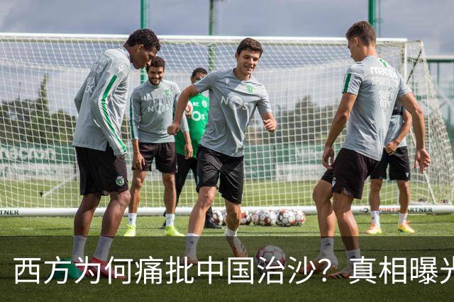 西方为何痛批中国治沙？真相曝光：动了的是老外奶酪，不是沙子！